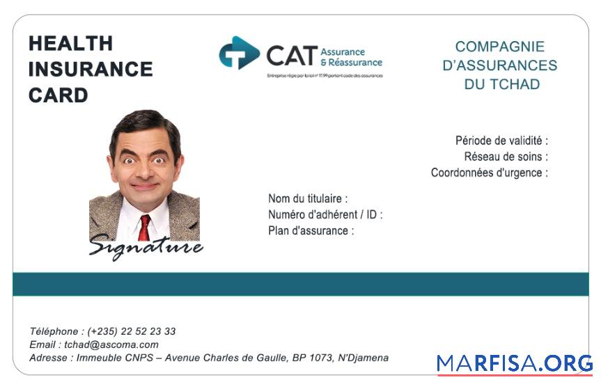 Realistic Chad health insurance card sample